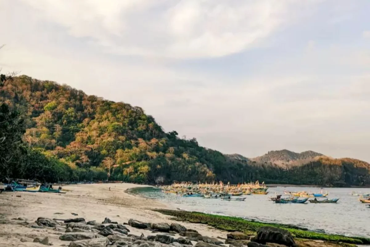REKOMENDASI TEMPAT WISATA YANG WAJIB DIKUNJUNGI DI JEMBER