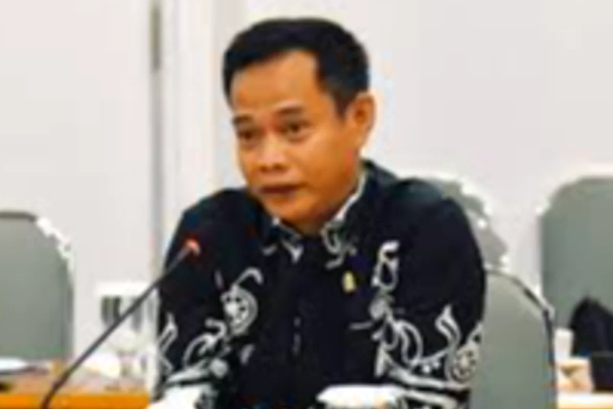 Eka Widodo, anggota Komisi II DPR RI